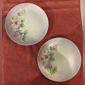 Vintage Floral Hand Painted Dinner Plates - Pastel Pink and Green